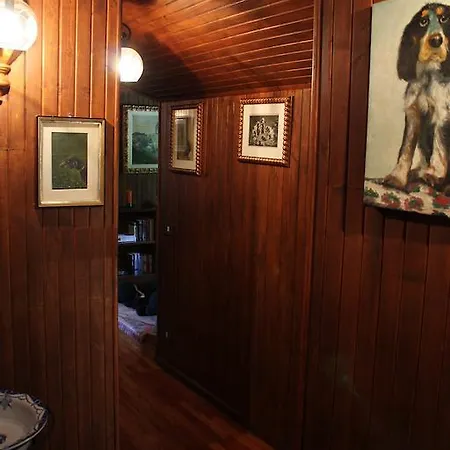Apartment Volpe *